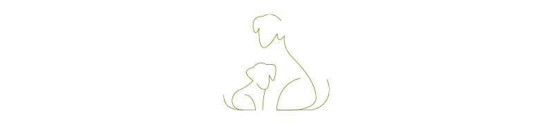 トラディショナル